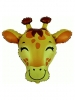 Giraffe Head