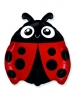 LADYBUG CUTE SIM